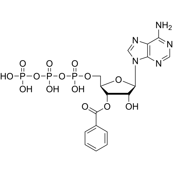 3′-O-Benzoyl-ATP (3′-O-Benzoyladenosine 5′-triphosphate) 288375-18-8
